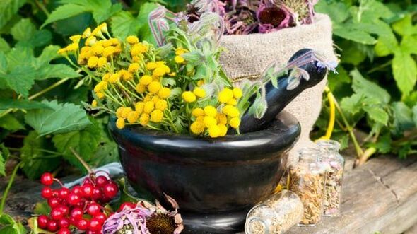 Decoccións de plantas