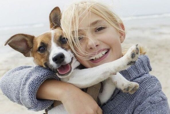 Infección parasitaria dun can